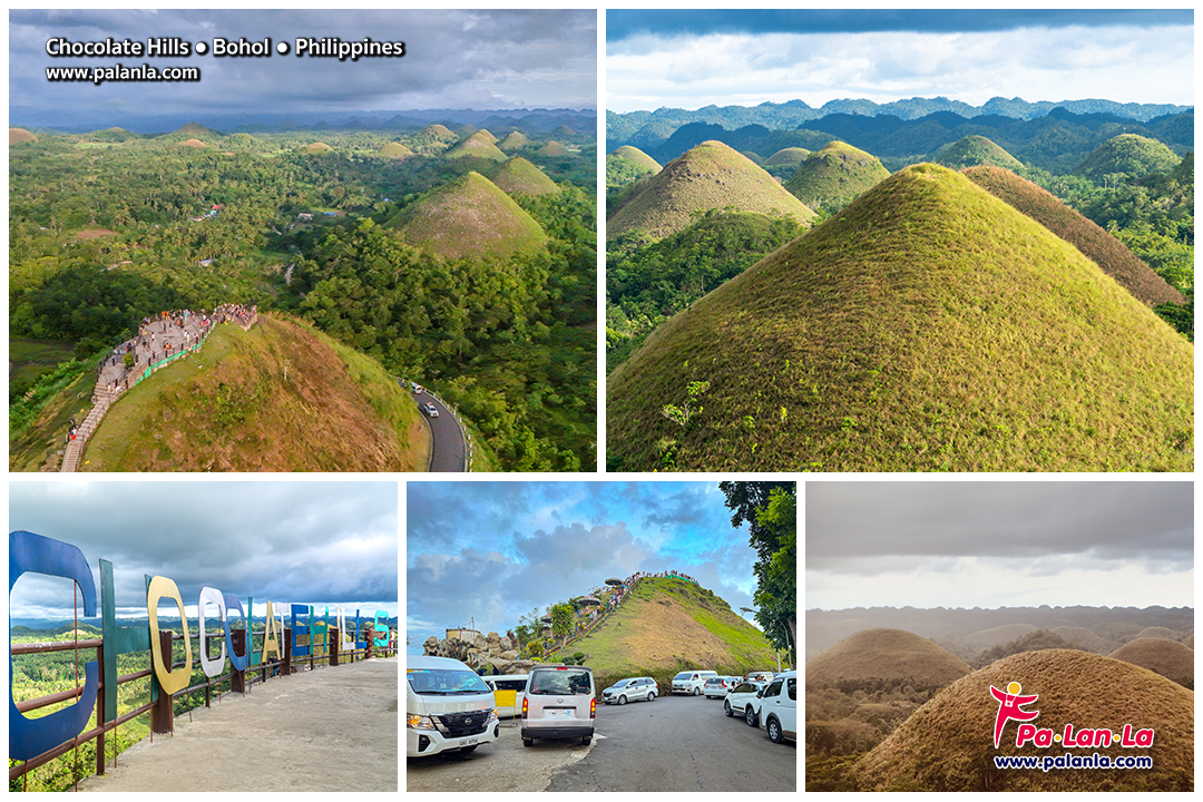 Top 5 Travel Destination in Bohol